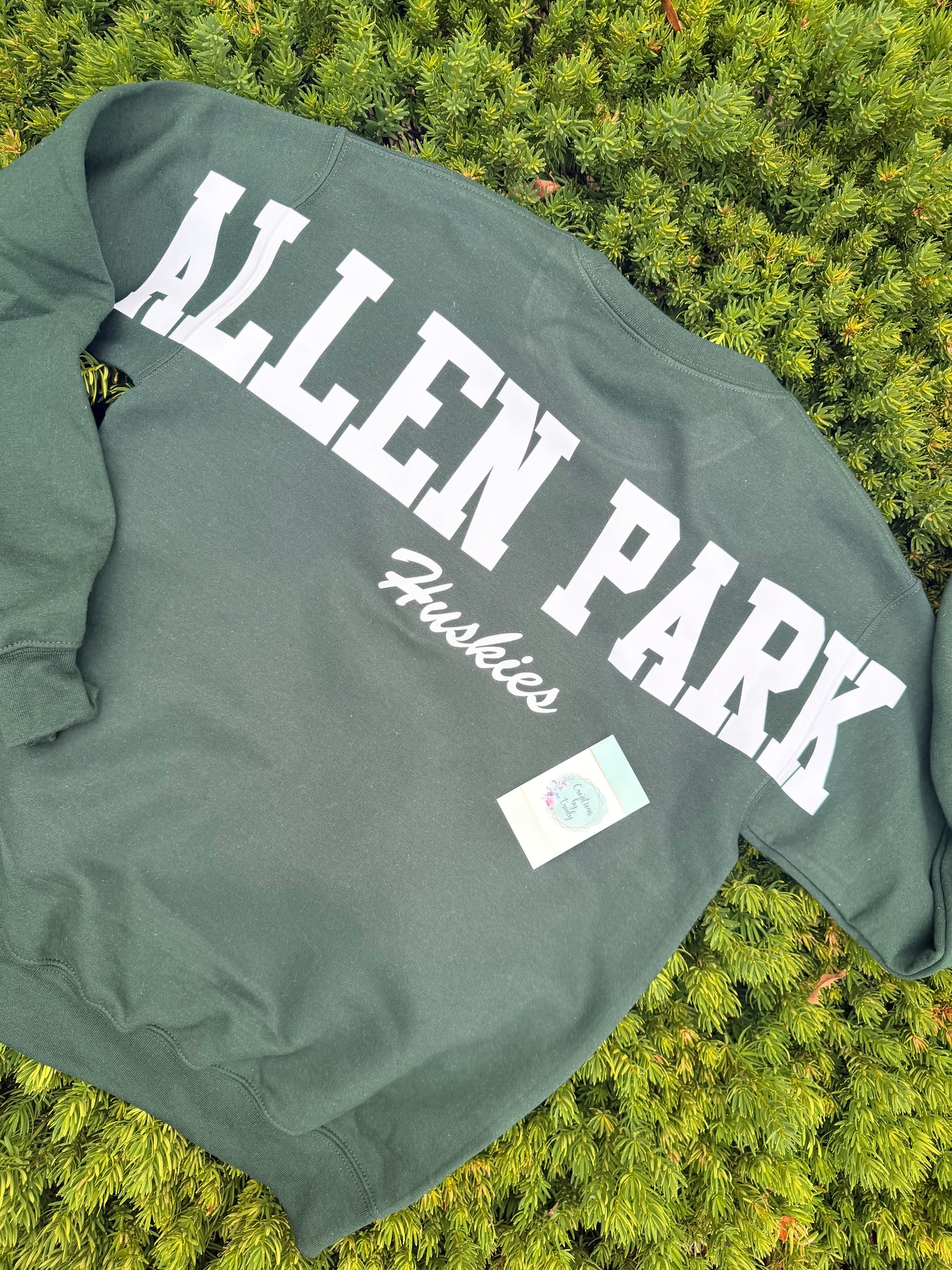 Allen Park Huskies sweatshirt!