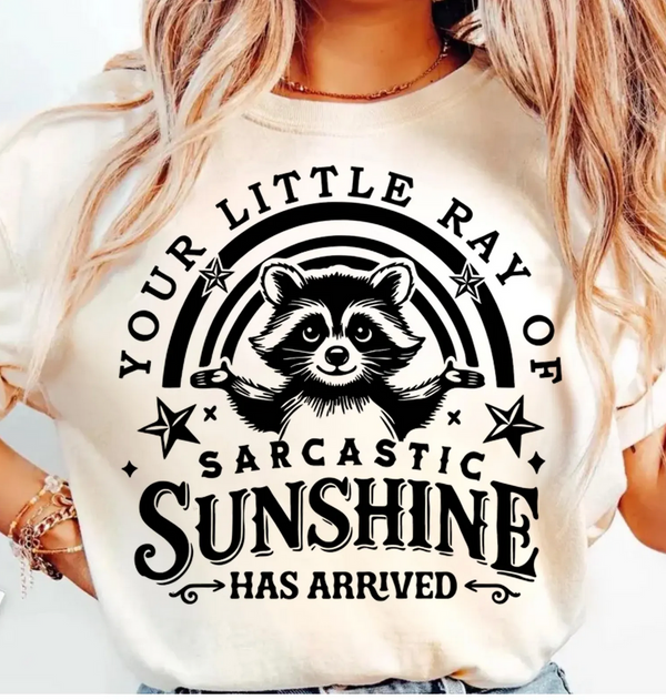 Sarcasic ray of sunshine tee!